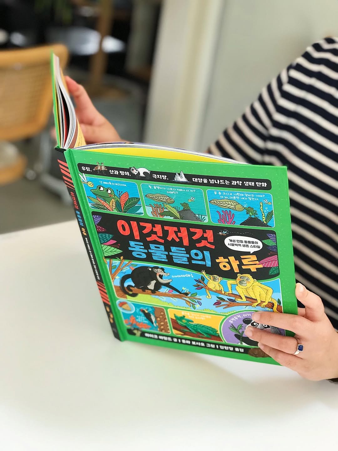 Photo by 봄나무 출판사 on August 05, 2025. May be an illustration of 1 person, childrens toy, book and text.