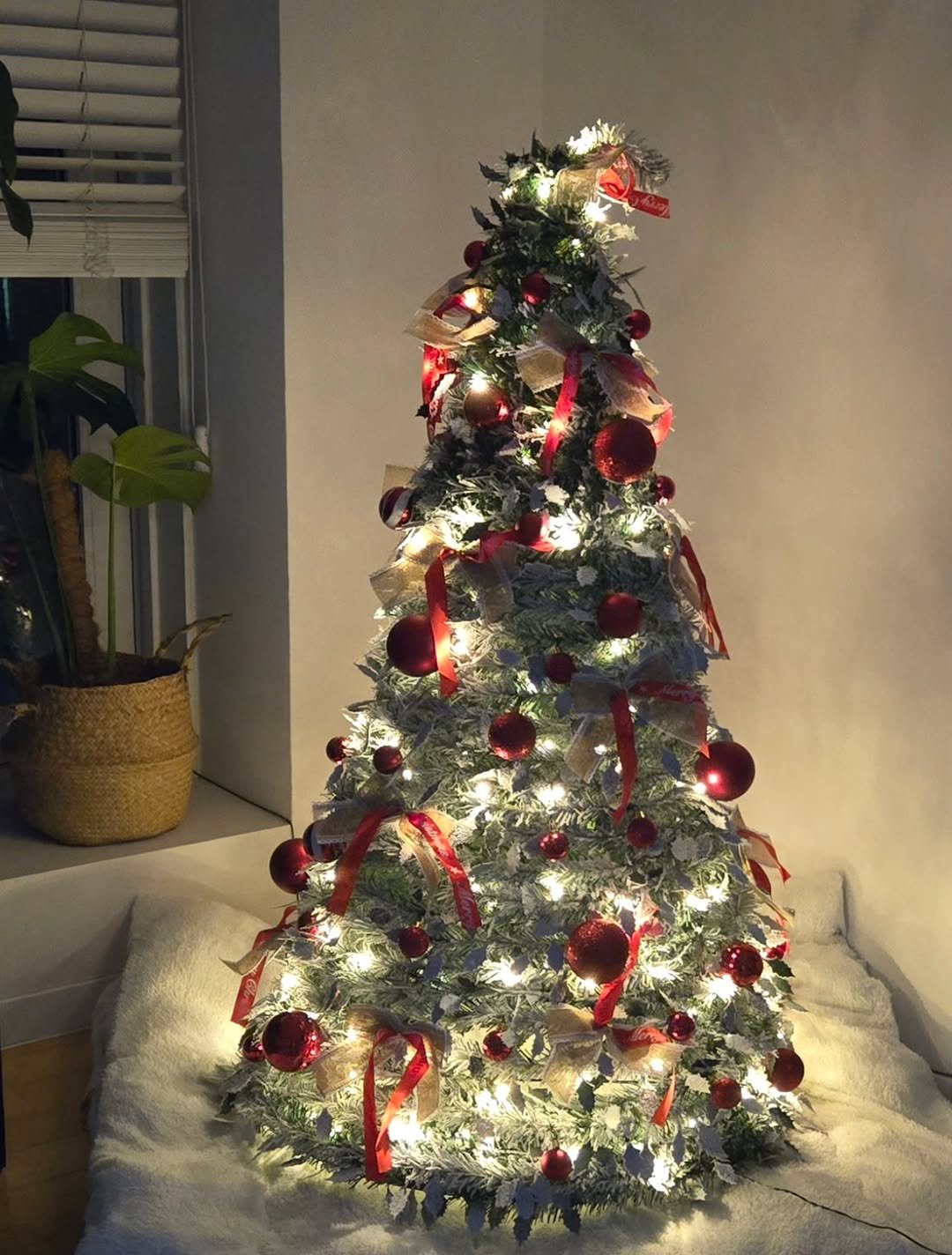 Photo by 김채원 (CHAEWON) on December 24, 2025. May be an image of christmas tree, tinsel and text.