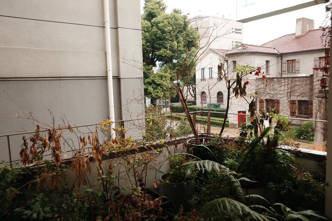 Photo by 김채원 (CHAEWON) on March 03, 2026. May be an image of ivy, outdoors and text.