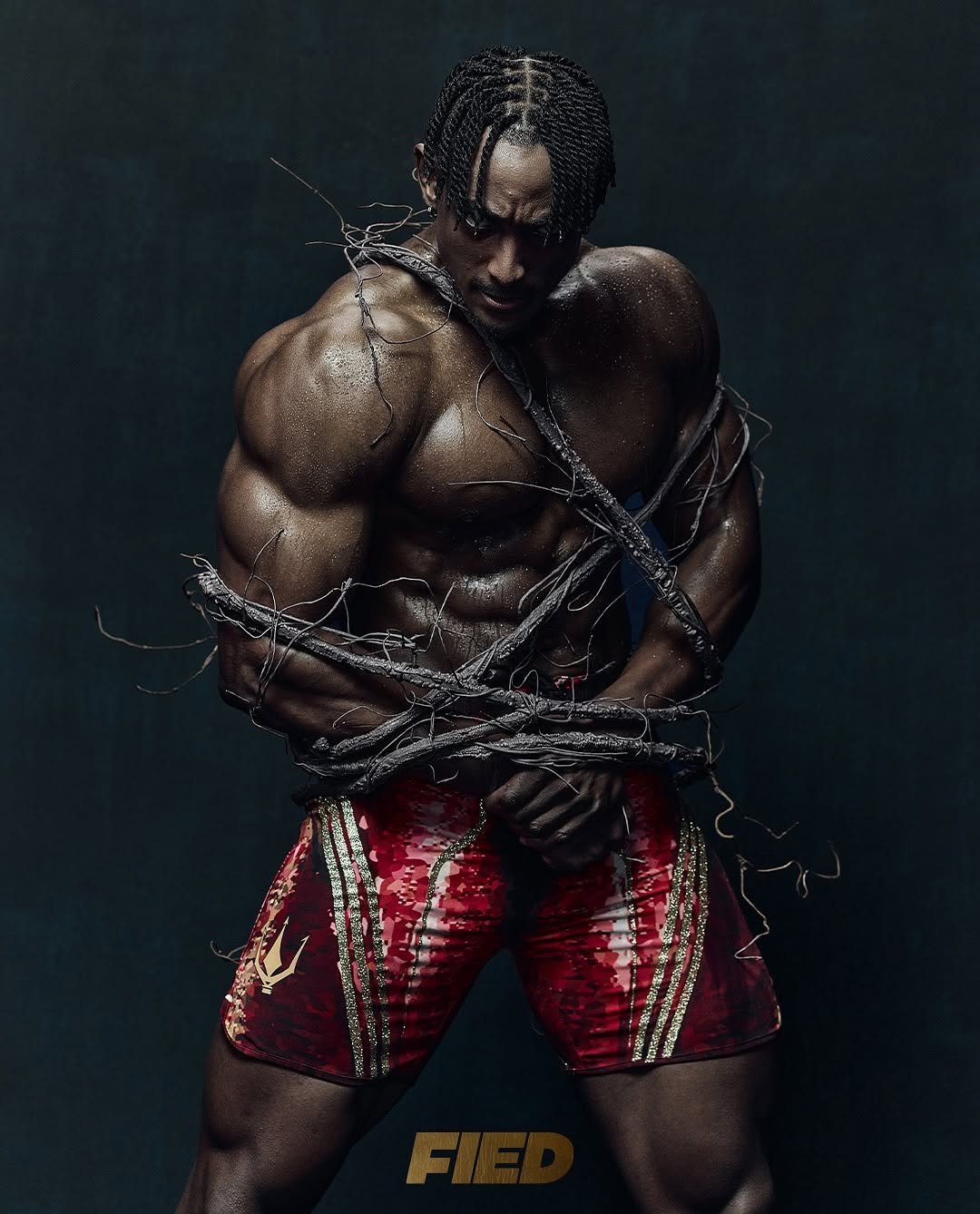 Photo shared by FIED on August 12, 2025 tagging @_charles_emmy_. May be an image of 1 person, biceps, body building, poster, costume and text.