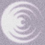 littlemushydickens 프로필 사진