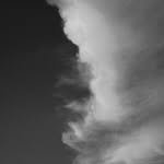 _choiyuree 인스타그램 프로필 사진