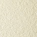 _collectionof_ 인스타그램 프로필 사진