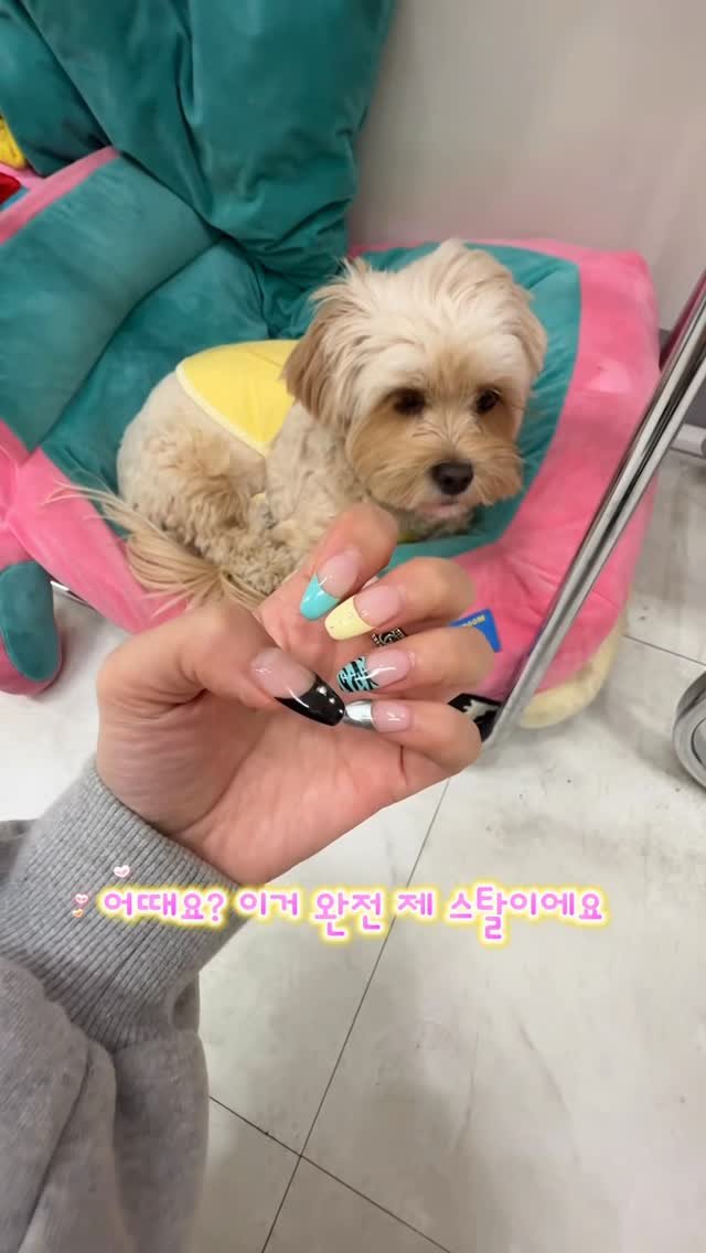 _doribeauty 게시물 이미지: 삼순이 릴스 첫 출연이니까 댓글 예쁘게 달아라~~

#네일브이로그