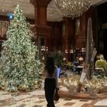 seen_nnyy 프로필 사진