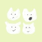 _junecake 프로필 사진