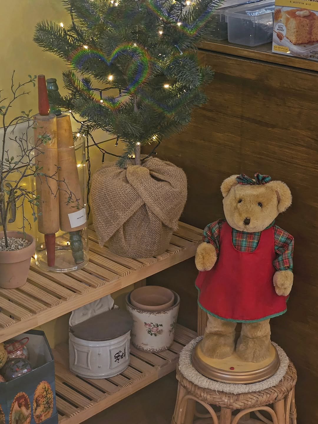 Photo by 그레몽디저트샵/ 배곧디저트카페/배곧생크림케이크 on November 12, 2025. May be an image of christmas tree, pinecone and text.