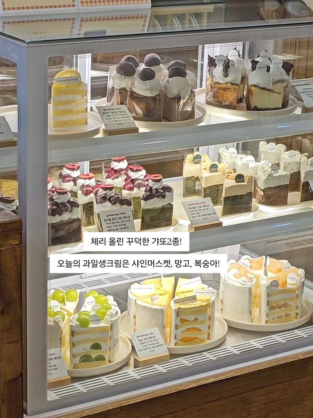 _gremong_dessertshop 게시물 이미지: *
체리,망고는 시즌종료 임박이에요
요즘 샤인머스켓 당도...