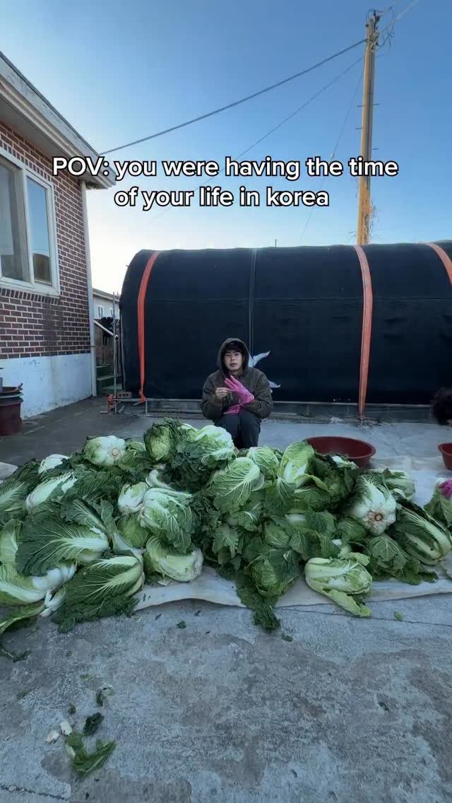 _hanjustin 게시물 이미지: Enough kimchi to feed a village 😭 HOW DO THE...
