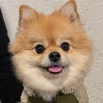 bbostar 프로필 사진