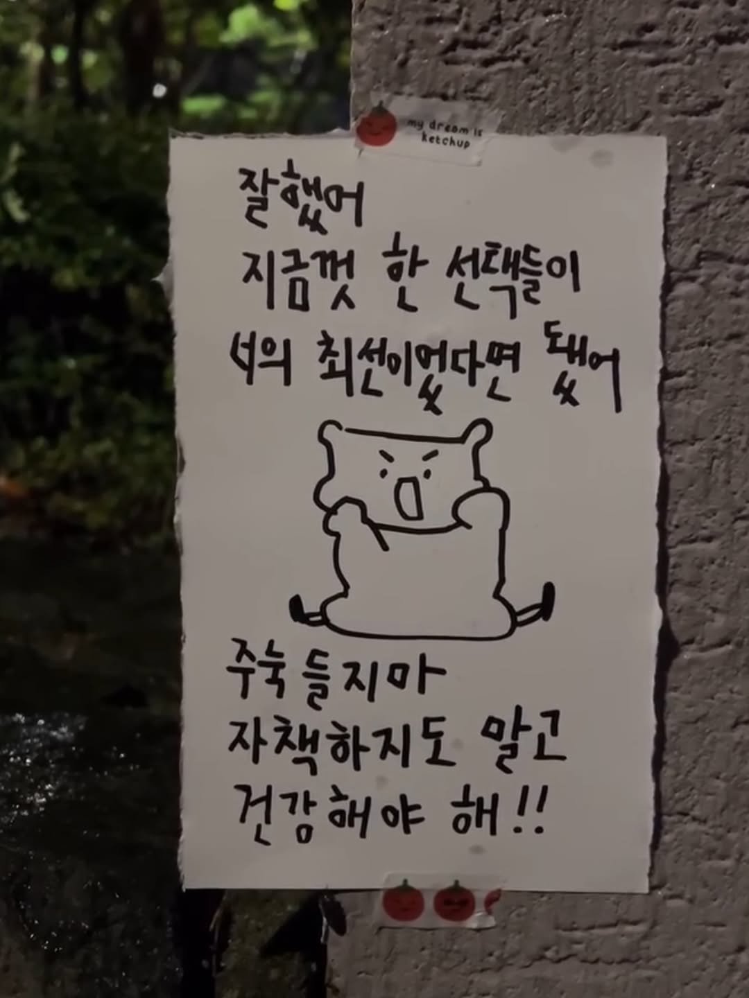 Photo by 하승완 on August 10, 2025. May be an illustration of bear, signboard and text that says 'ketchup 잘했어 지금껏 지금껏한선택들이 한 선택들이 너의 최선이었다면 됐어 يهم 주눅 중눅들지마 지마 자책하지도 말고 건강 건강해야 해!!'.