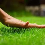 lawns_care_for___ever 프로필 사진
