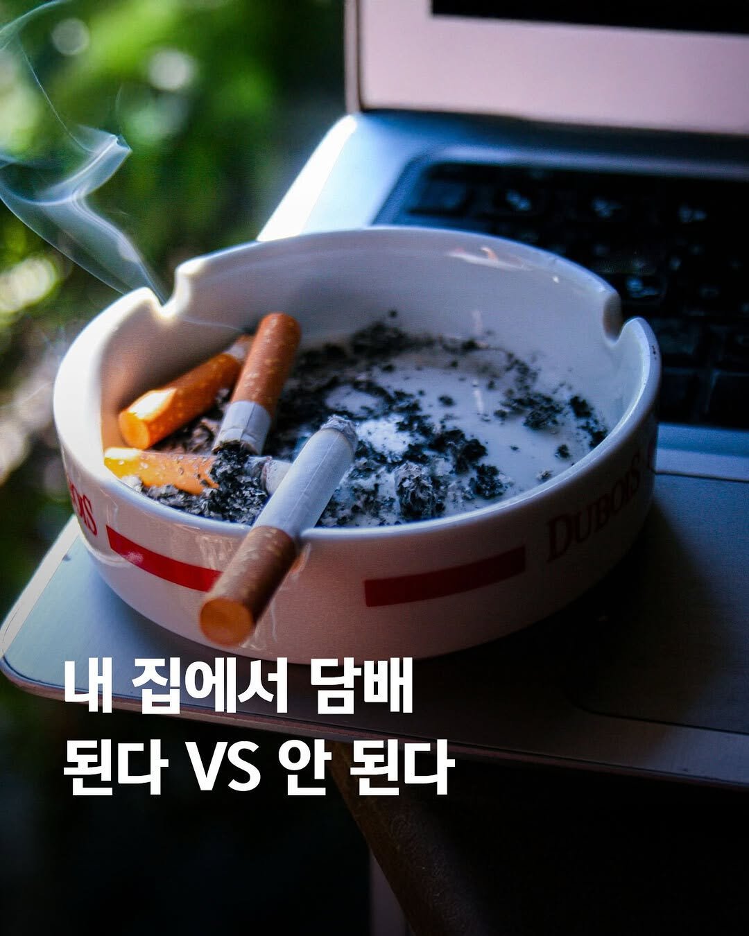 _hey.news_ 게시물 이미지: 내 집에서 담배 피워도 된다 VS 안 된다?

아파트 실내와 베란다에서 담배를 피운...