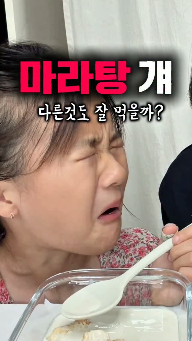 _hyesam_ 게시물 이미지: 입맛정반대 동먹이몽