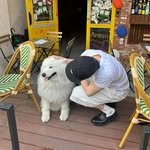 __chojeongmin 프로필 사진