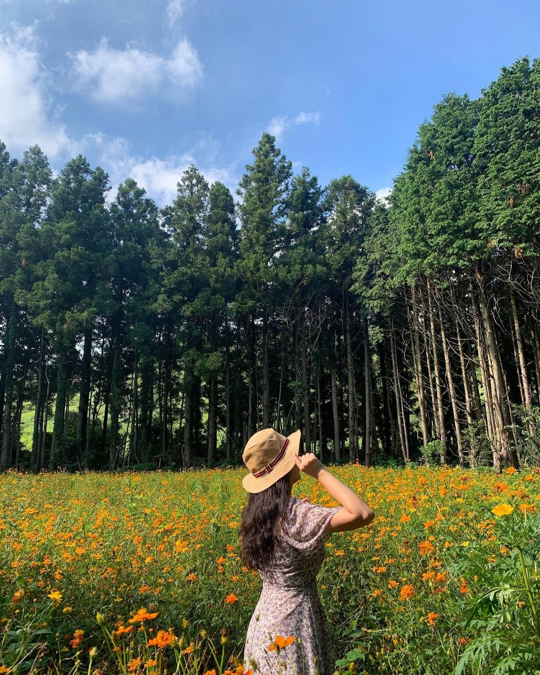 Photo by 𝒮𝒾𝓇𝒾 on September 08, 2020.