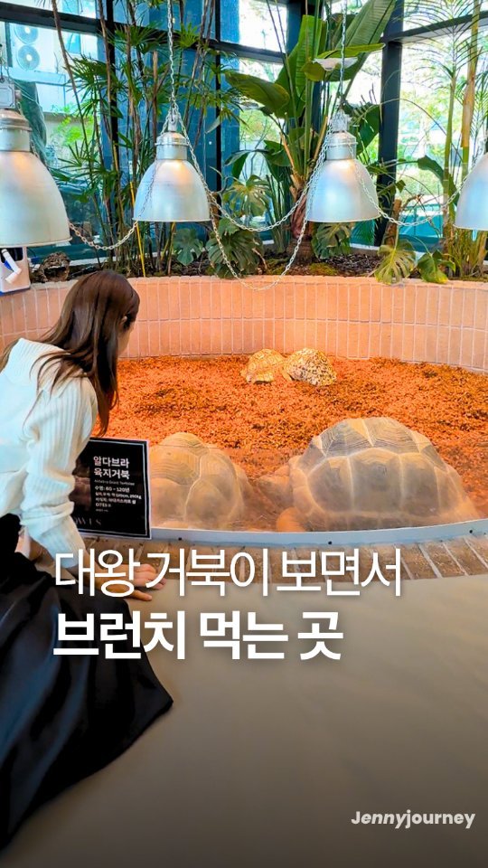 _jenny_journey 게시물 이미지: 여기 더 유명해지기 전에 빨리 다녀오세요🐢🌳

서울 도심 한복판에
귀여운 대왕...