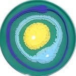 i0c0i 프로필 사진