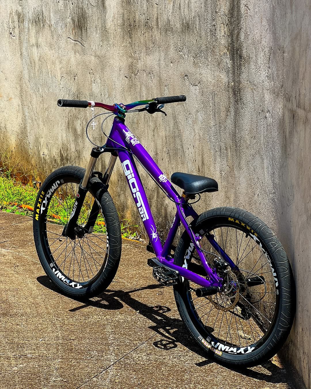 Photo by Leo Evolved in 016.