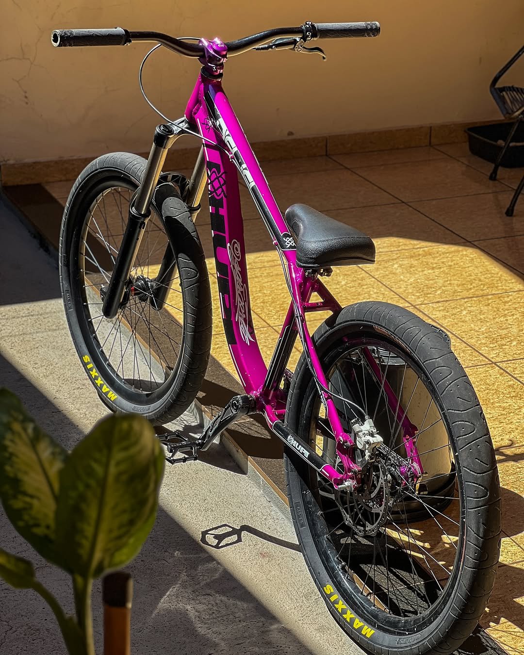 Photo by Leo Evolved on April 11, 2025.