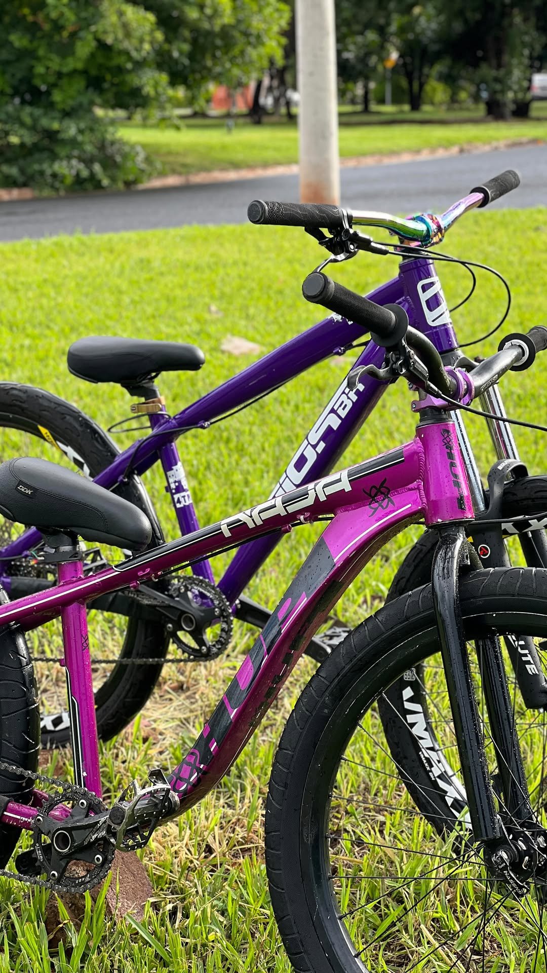 _leoevolved 게시물 이미지: Segue aí @_leoevolved...