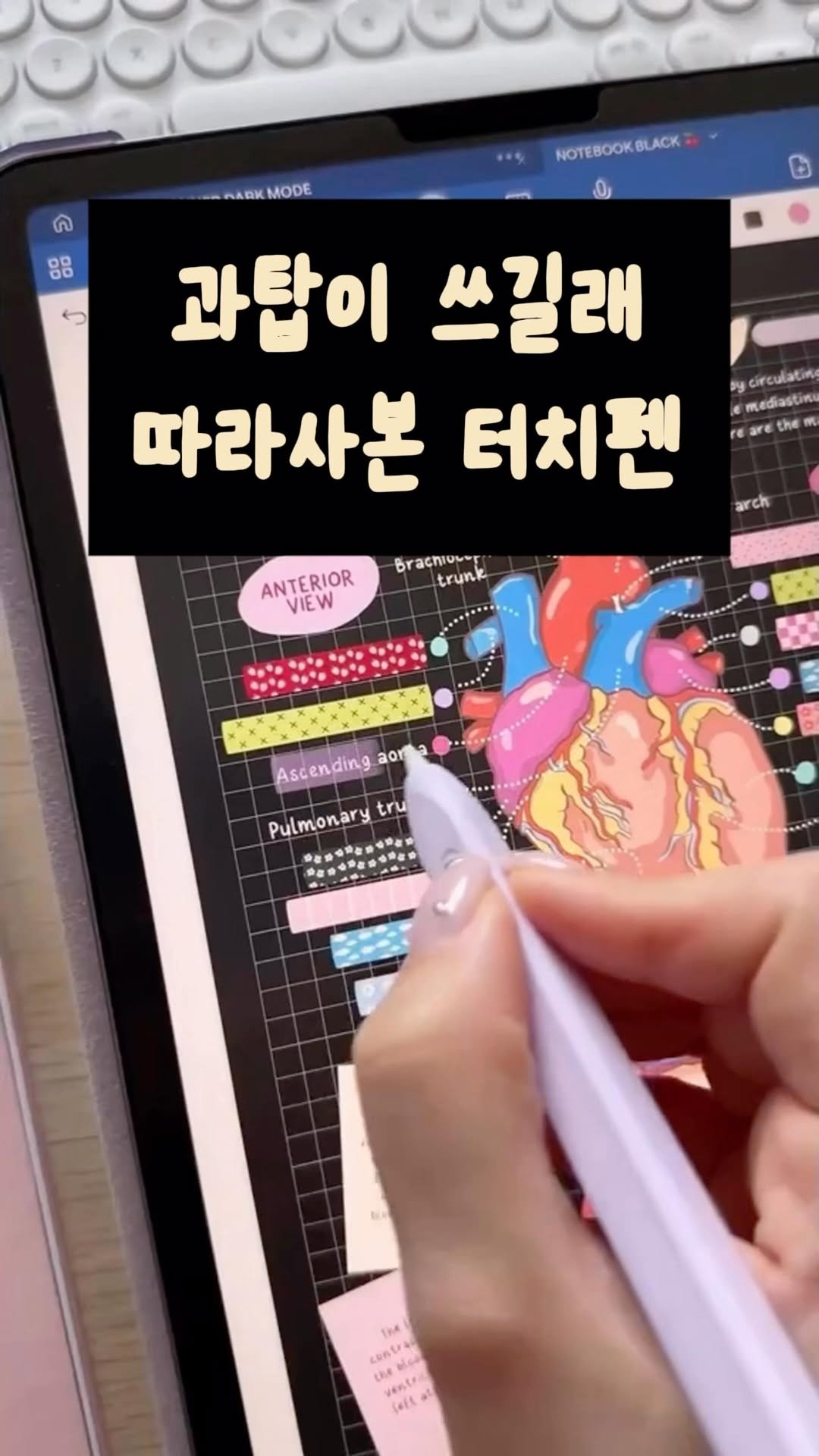 _lilys_home 게시물 이미지: 👉🏻댓글에 ’나도‘ 남겨주세요!
영상 제품 한번에 링크 보내드릴게요!
프로필 링크...