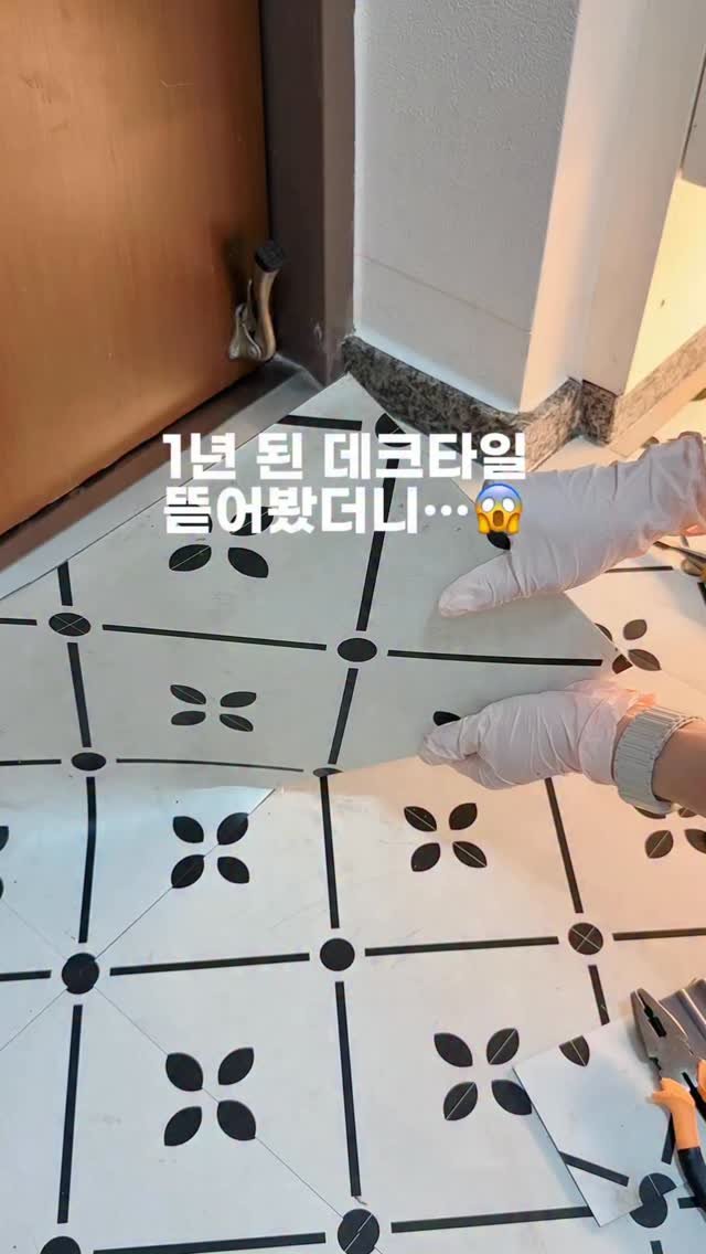 _livelyhome 게시물 이미지: ✨전동스퀴지 공구 종료🫶🏻

일반 스퀴지도 좋지만, 
전동은 진짜 차원이 다른...