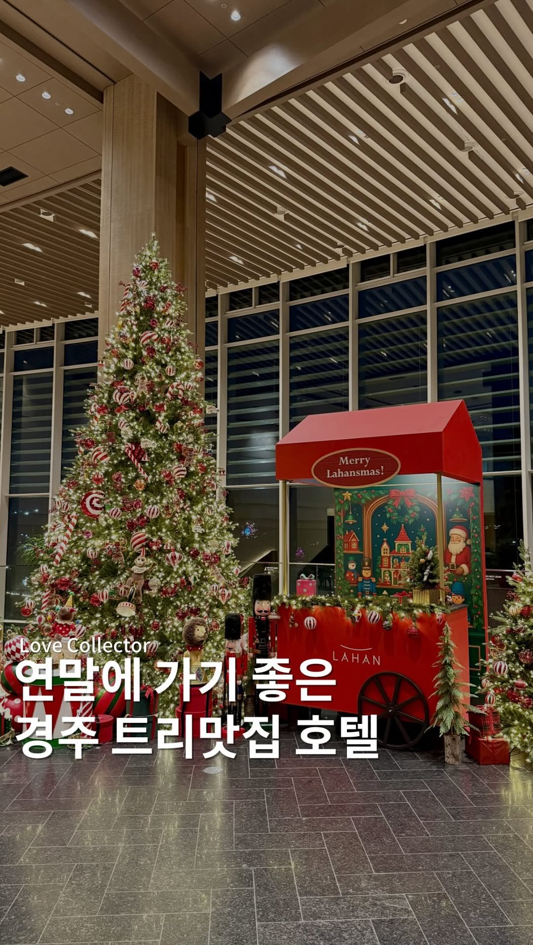 _love.collector_ 게시물 이미지: 경주의 크리스마스 명소✨
라한셀렉트 경주!

경주 보문호수 앞에 위치한
라한셀렉트...
