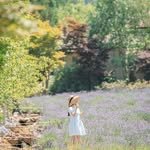 _love.collector_ 인스타그램 프로필 사진