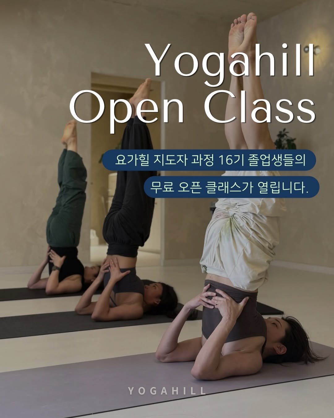 _lucy_yoga 게시물 이미지: #요가힐무료오픈클래스

겨울의 추위를 이겨내고 꽃을 피운 
요가힐 16기 선생님들의...