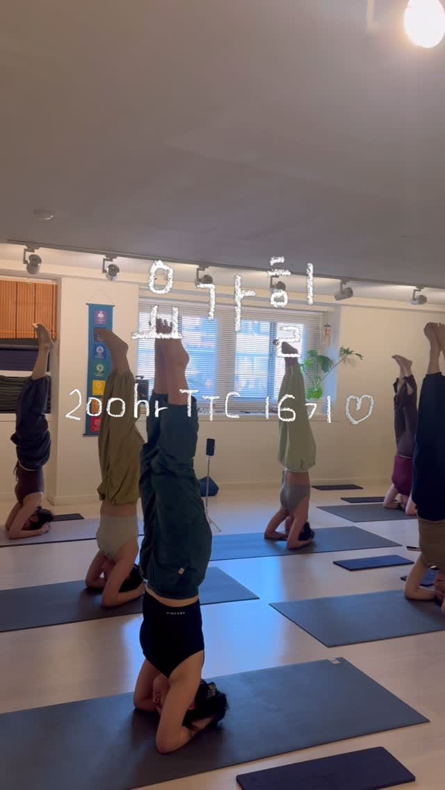 _lucy_yoga 게시물 이미지: #요가힐 #요가지도자과정 #16기

요가힐 지도자과정 16기, 15주차의...