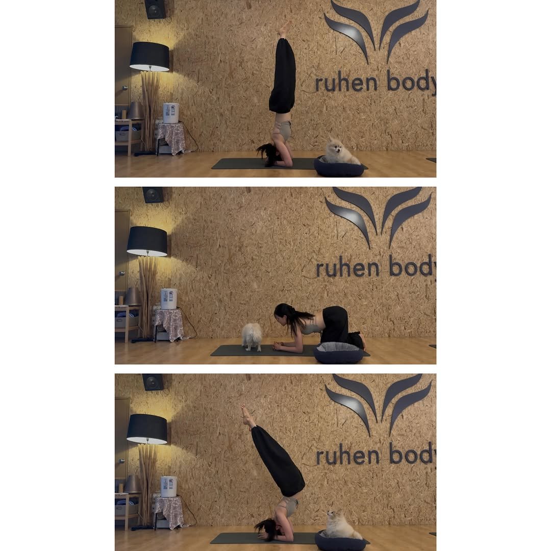 _lucy_yoga 게시물 이미지: ⸌◦̈⃝⸍ʷʰʸˀ̣ˀ̣ˀ̣