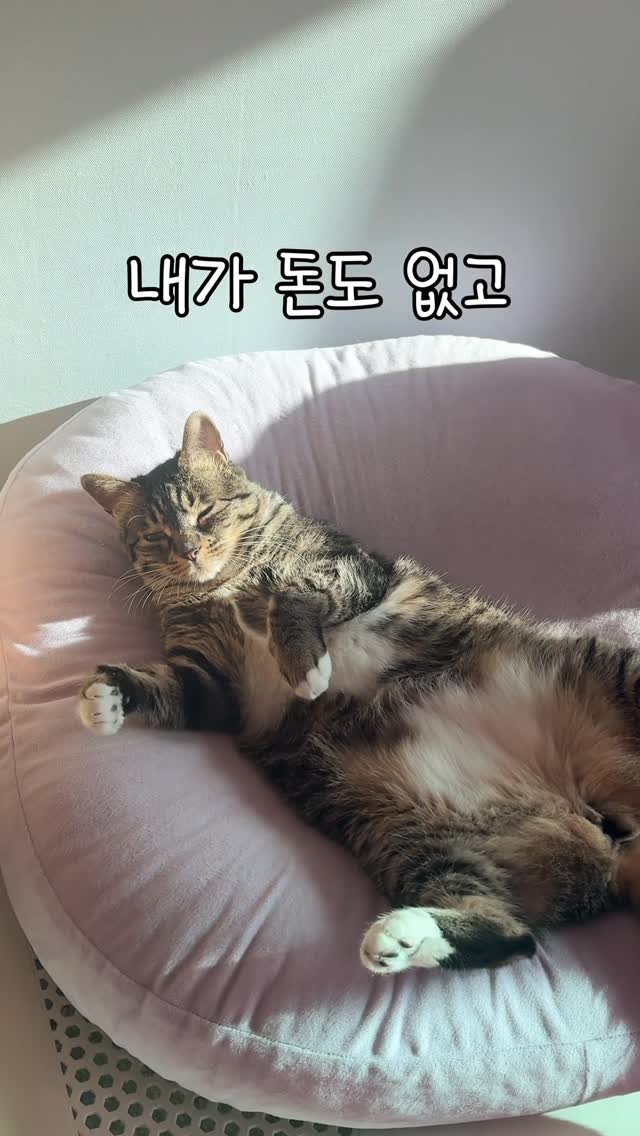 _marcater 게시물 이미지: 사실 자랑입니다.. 🤗