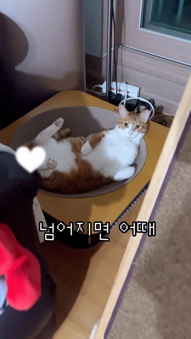 _marcater 게시물 이미지: 넘어져도 괜차나🥹🥹