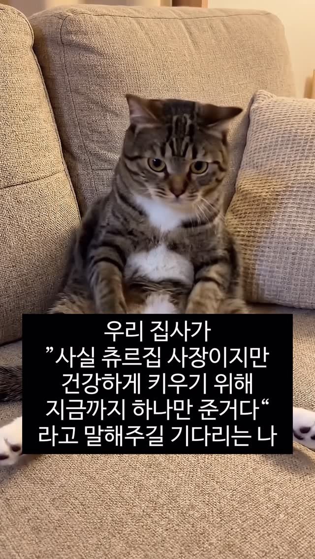 _marcater 게시물 이미지: 언제까지 어깨춤을..