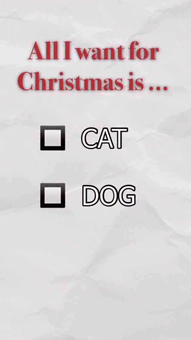 _marcater 게시물 이미지: 너 말고 고양이 ❤️❤️❤️

🧶 매주 업데이트 되는 무료 고양이 자료집 
→...