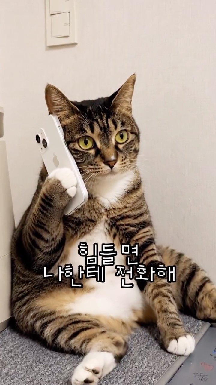 _marcater 게시물 이미지: 내가 이길걸~??