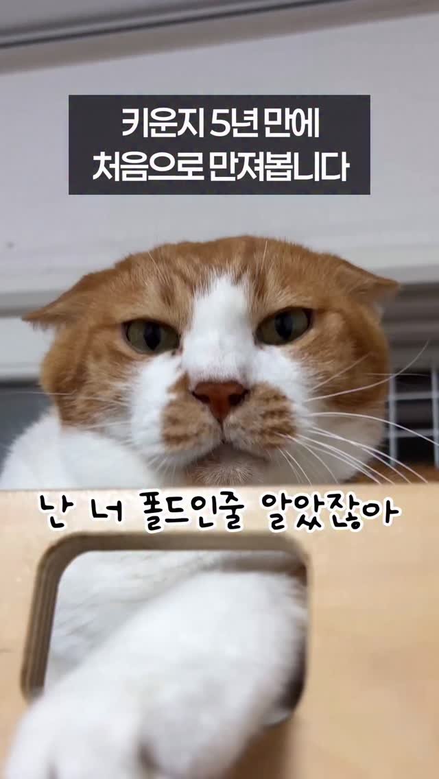 _marcater 게시물 이미지: 이 영상을 전국에 계신 관상묘 집사님들께 바칩니다💐

🧶 매주 업데이트 되는 무료...