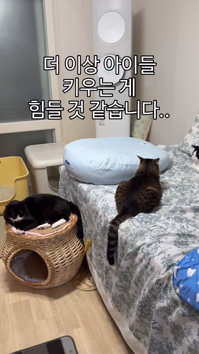 _marcater 게시물 이미지: 앗.. 실수