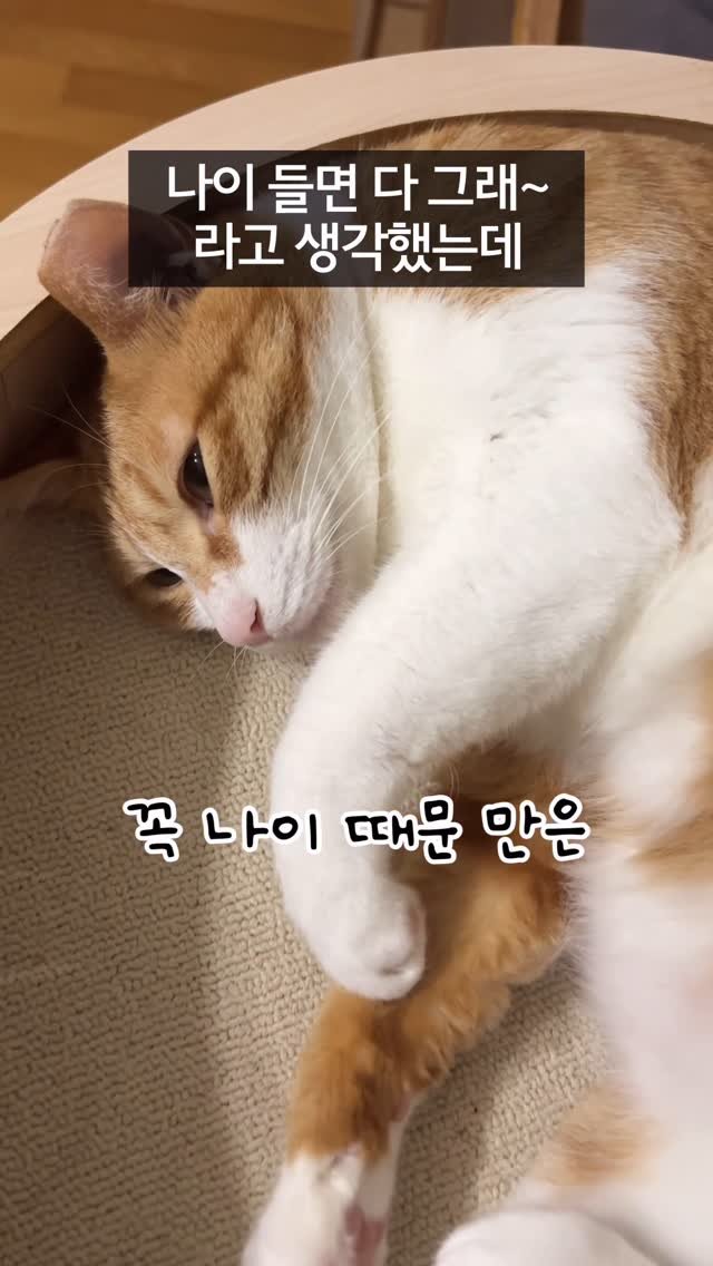 _marcater 게시물 이미지: 나이들면 다 그래~ 라고 생각했는데
하나라도 해당된다면 주목!

사실은 숨은 염증의...