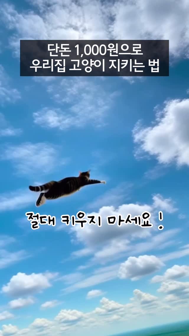 _marcater 게시물 이미지: 147. 단돈 1,000원으로 우리집 고양이 지키는 법

절대 안 뜯기는 방묘문...