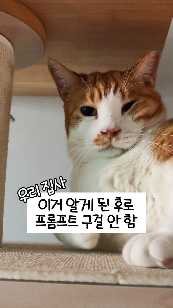 _marcater 게시물 이미지: ☀️떠나자☀️ 남겨주시면 사이트 링크 드릴게요!

전에 댓글 남기신 분들은
바로 디엠 갑니닷