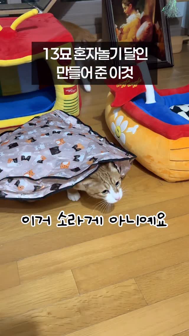 _marcater 게시물 이미지: (내돈내산) 13묘 혼자놀기 달인 만들어 준 이것

🌈 영상 속 제품 정보는?...