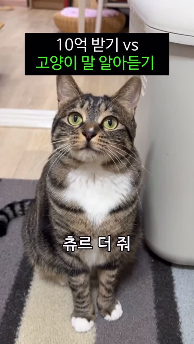 _marcater 게시물 이미지: 10억을 버렸습니다..