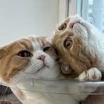 dongfam_ 프로필 사진