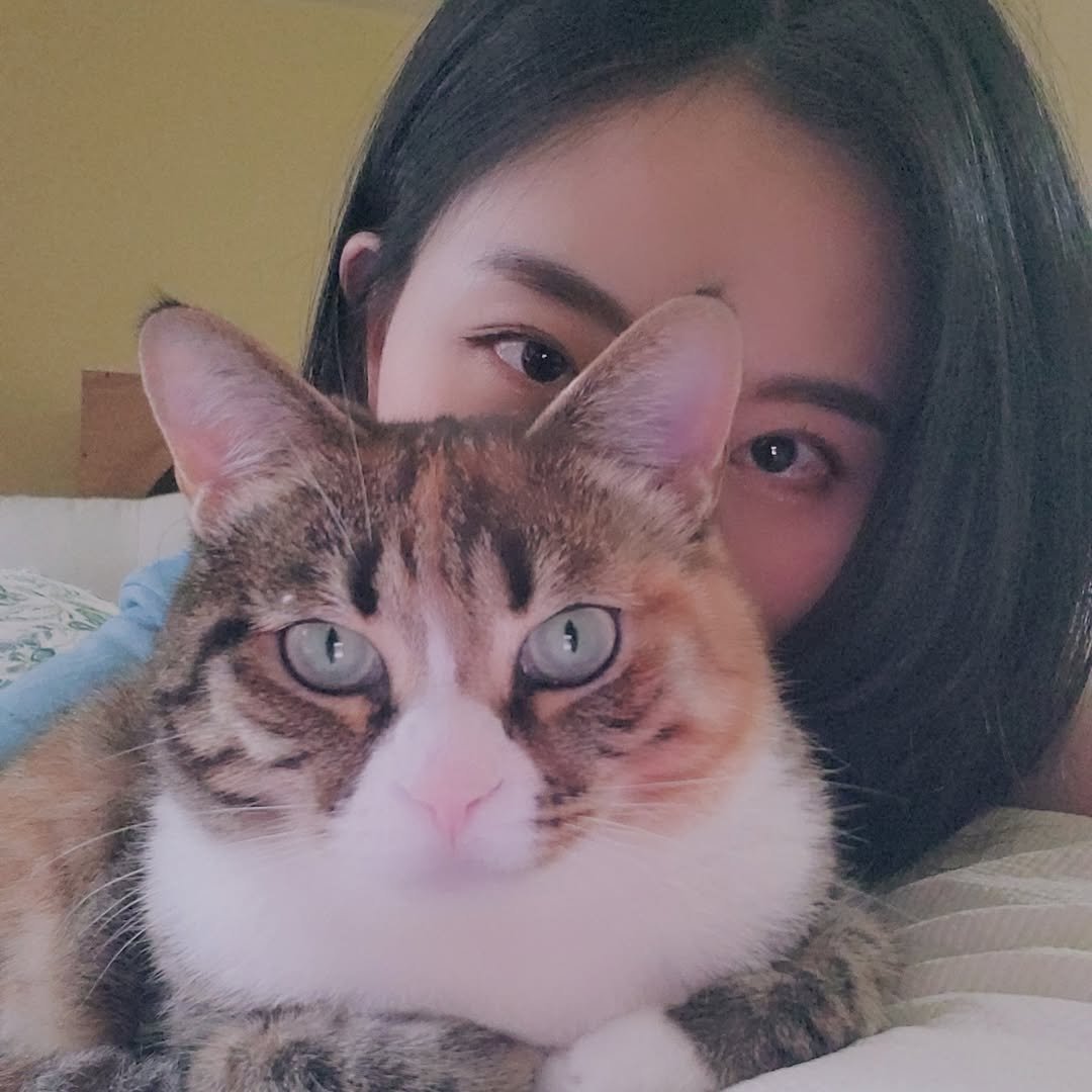 Photo by 마캣터 on November 20, 2024.