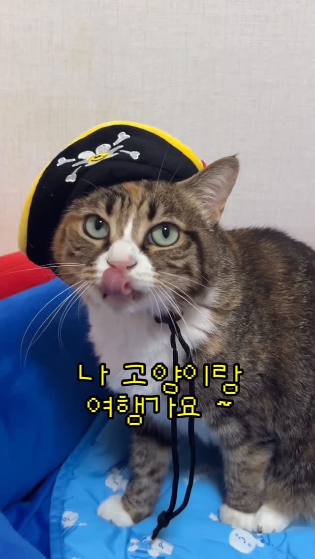 _marcater 게시물 이미지: 고양이랑 여행 떠나실 집사님~?!

사진 한 장만 넣으면 
여행다니는 우리집 고양이...