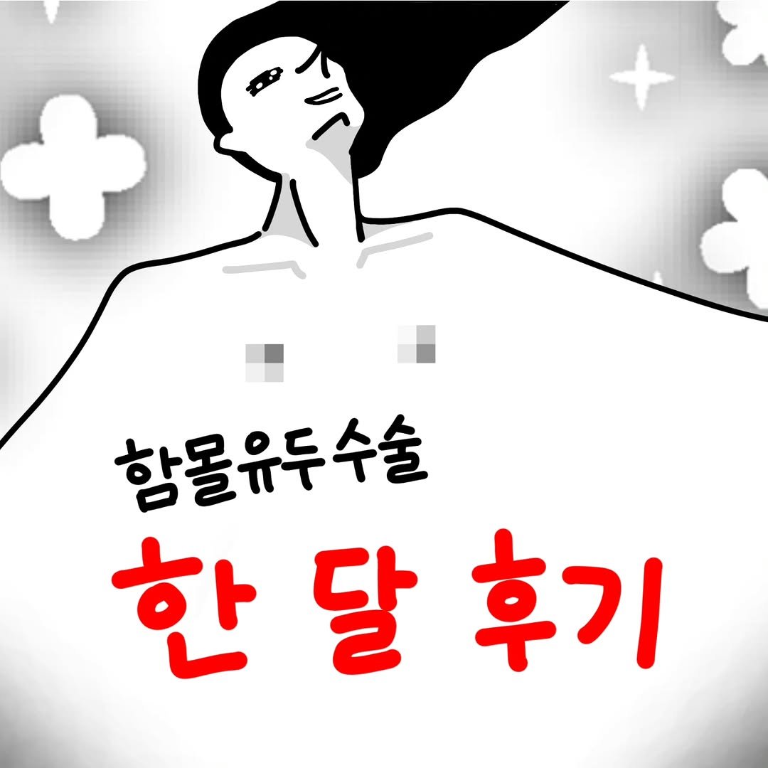 Photo by 함유먼지 / 함몰유두인의 인스타툰 on October 17, 2025. May be an illustration of text that says '함몰유두수술 한달후기 한 후기'.