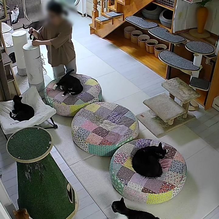 _mieumi 게시물 이미지: .
1초만에 대충 -7만원됨 
다 먹어서 방금 막 새로 뜯은 보조제였을...