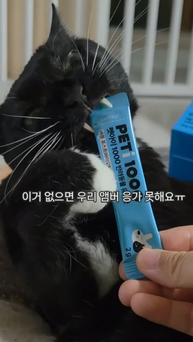 _mieumi 게시물 이미지: #공구예고
만성 변비냥이 집사님들 요기 모여라~!

오늘은 만성 변비냥이 앰버가...